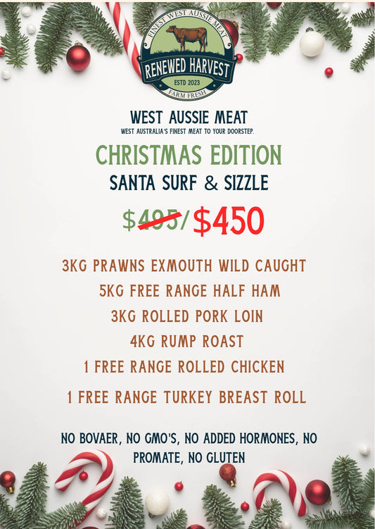 Santa’s Surf and Sizzle Pack